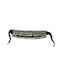 Belt Black for Oriental