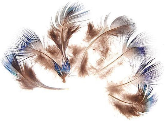 Next Aripă de Artizanat 5cm Set 10buc