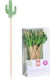 Excellent Houseware Toothpicks for Party