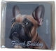 Action Lab Magnet Frensh Bulldog