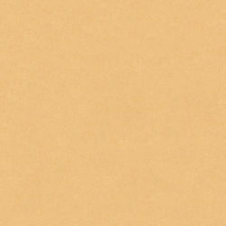 Next Beige