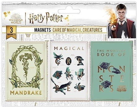 Harry Potter Set of Magnets 5.5x8cm 1pcs