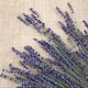 Servietten Lila 33x33cm