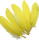 Pene Decorative Galbene 15-20cm 8 Bucăți 28-02