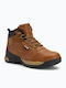 Vertigo Alpes Men's Hiking Boots Waterproof Brown