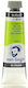 Royal Talens Van Gogh Oil Colour Yellowish Green 617 20ml