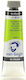 Royal Talens Royal Talens Ölfarbe 60ml Van Gogh Gelblich Grün 3s