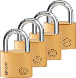 Blossom Padlock with Key 30mm