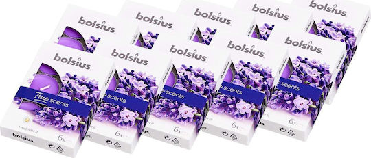 Bolsius True Рокли с Аромат 60 Бройки Bolsius True Рокли с Аромат 60 Бройки