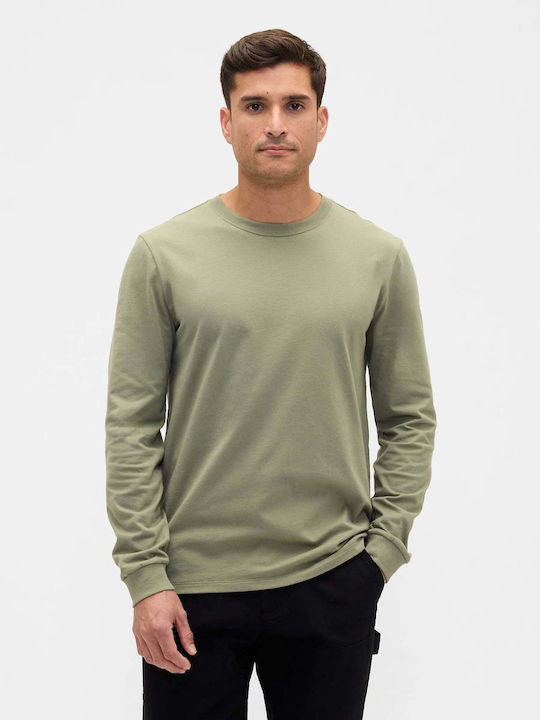 GAP Langarmbluse Walden Green