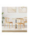 Dining Room Wooden Chair Natural Pure Rubber 50.5x61x80.5cm 2pcs