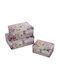 Etoile Set 3buc Cutii Uz General cu capac Metalic