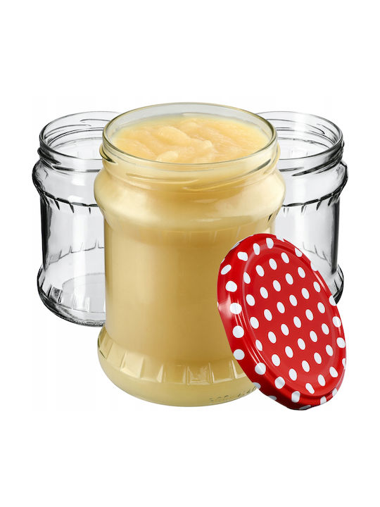 Kadax Set 24Stück Gläser Allgemeine Verwendung mit Deckel Glas Transparent 500ml