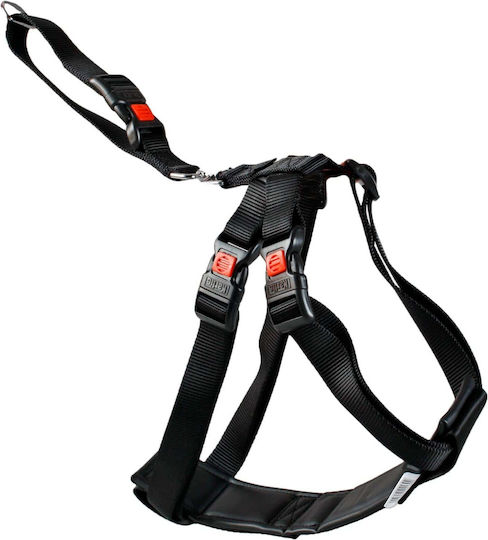 Flamingo Seatbelt Car for Dog Black