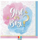 Party Napkins Food 25cm Gender Reveal 20 Pieces Boy Girl