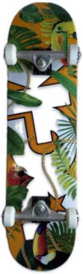 DGK Complete Shortboard Πορτοκαλί