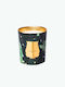 Candle Cire Trudon Fir Christmas Tree Scented Candle