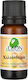 Aromatisches Öl Chrysantheme BioLeon 10ml