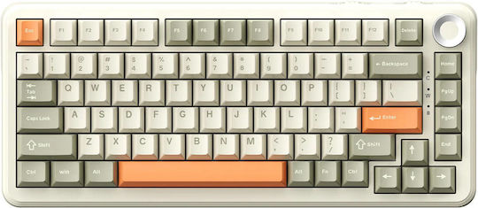 Ajazz AK820 Max Plus Gaming Mechanical Keyboard Tenkeyless with Mailard switches and RGB lighting (English US) Grayish Orange
