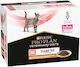 Purina Υγρή Τροφή για Ενήλικες Γάτες σε Φακελάκι με Κοτόπουλο 10x85gr