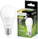 Lumiled LED-Lampe für Fassung E27 und Form A60 1055lm