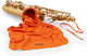 Rico Premium Antimicrobial Silvadur Cloth Large Saxophone Alto Tenor Clarinet Alto Bass