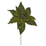 Grüner Alexandrinischer Kranz 25x35cm