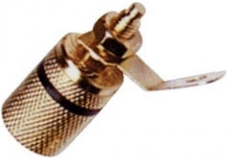 Simple Metal Gold-Plated Black Borna Lz544g/b Bp044 Lz