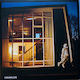 Idles Crawler Vinyl