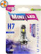 Photon Lamps Car H7 LED 6000K Cold White 12V / 12-24V 1pcs
