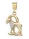 Charm Semn Zodiacal Capricorn din Aur Alb 14K
