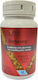 Vitamain Berberine 750mg 30 caps