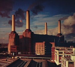 Pink Floyd Animals Cd Pink Floyd Animals Cd