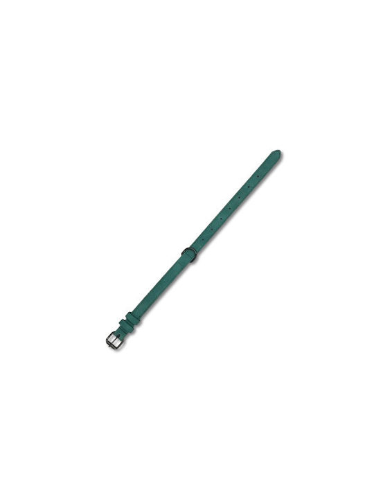 Elegantes Grünes Hundehalsband 46cm – Verstellbar Schwarze Metallöse Bonnie Elegantes Grünes Hundehalsband 46cm – Verstellbar Schwarze Metallöse Bonnie
