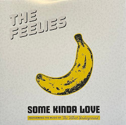 Feelies Some Kinda Love Performing Music Velvet Underground Vinyl Feelies Some Kinda Love Performing Music Velvet Underground Vinyl