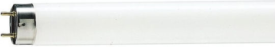 Fluorescent Tube Lamp T8 58w G13 1514mm Butcher Shop