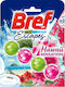 Bref Power Block with Scent Hawaii 4x51ml