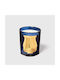Κερί Cire Trudon Salta Grapefruit Essence Candle