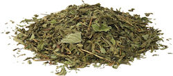 Зелен Чай Sencha Мента 500гр