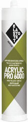 Elastotet Acrylic Pro 6000 Silicon Acrilic pent...