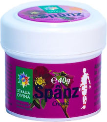 Cremă cu Spânz 40g Steaua Divina