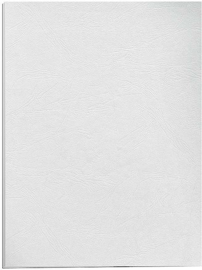 Fellowes Χαρτονάκι Α4 Δέρμα 250gr 1φ Eisweiß