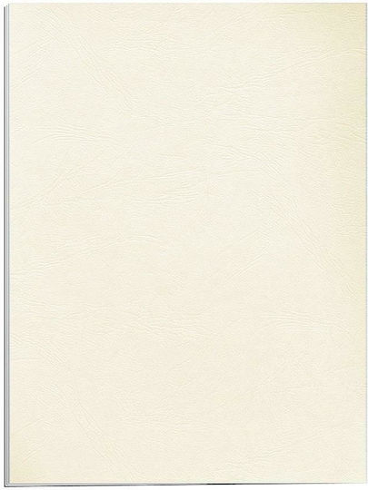 Χαρτονάκι Α4 Δέρμα 250gr 1φ Ivory