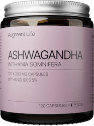 Augment Life Ашваганда 200 мг 120 Капсули Augment Life Ашваганда 200 мг 120 Капсули