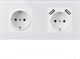 Crystal Socket Tsu2 Double 2 X Usb 2.1 A Froste...
