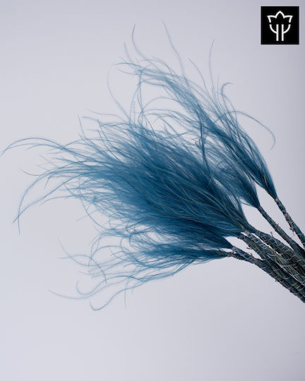 Stypha Penata Deep Blue 65cm 1 Piece
