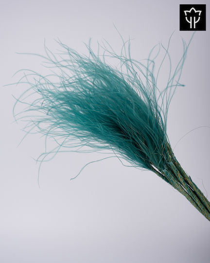 Stypha Penata Τιρκουάζ 65cm 1τμχ