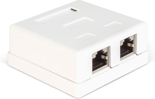 Double Wall Socket Ftp Cat6 8p8c Rj45 Surface Mount
