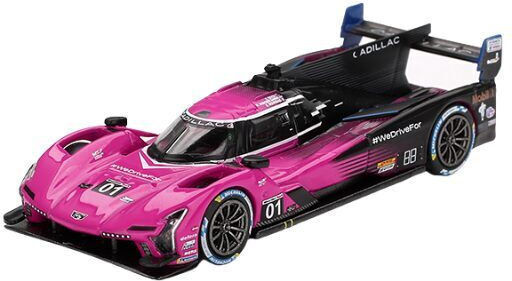Macheta Auto Cadillac V-series.r #01 Cadillac Racing Petit Le Mans 2024 1:64 Mini Gt Mgt01010-l