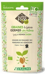 Germline Samen Sternanis